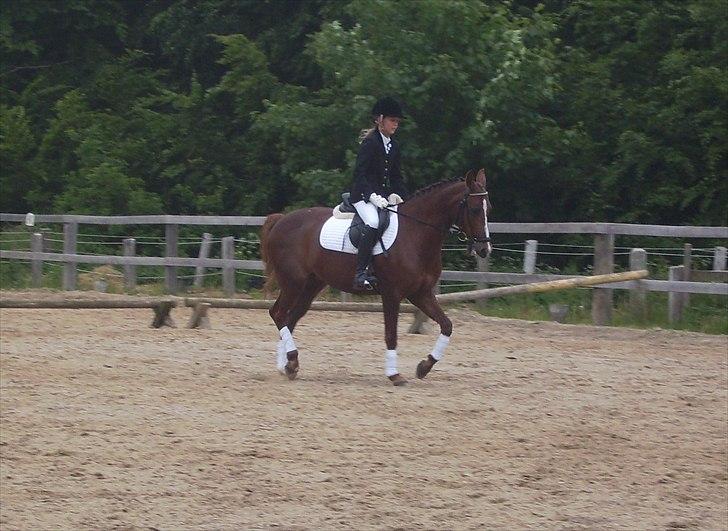 Stævne Ebeltoft Rideklub ;-) billede 198