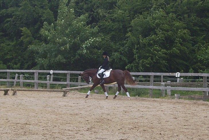Stævne Ebeltoft Rideklub ;-) billede 199