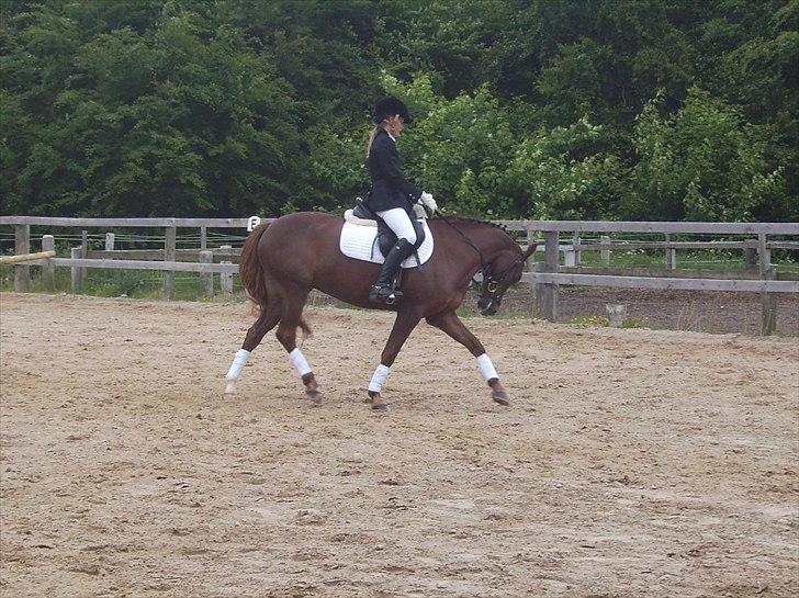 Stævne Ebeltoft Rideklub ;-) billede 200