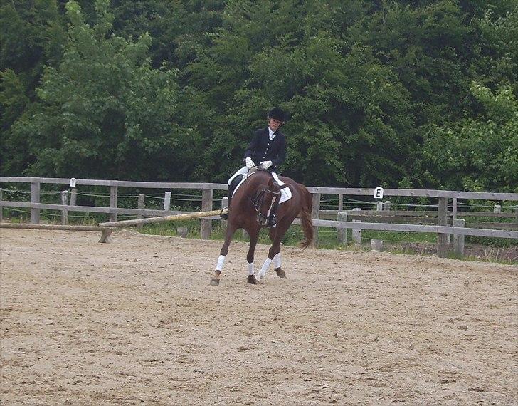 Stævne Ebeltoft Rideklub ;-) billede 201