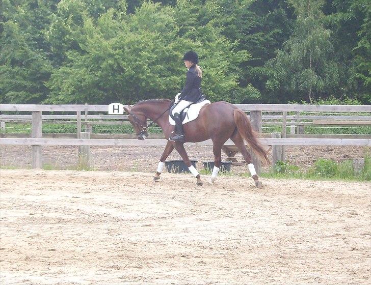 Stævne Ebeltoft Rideklub ;-) billede 202