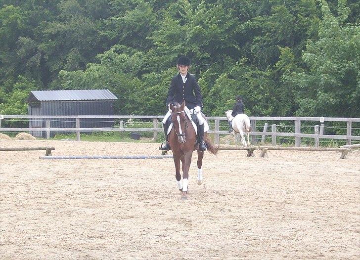 Stævne Ebeltoft Rideklub ;-) billede 203