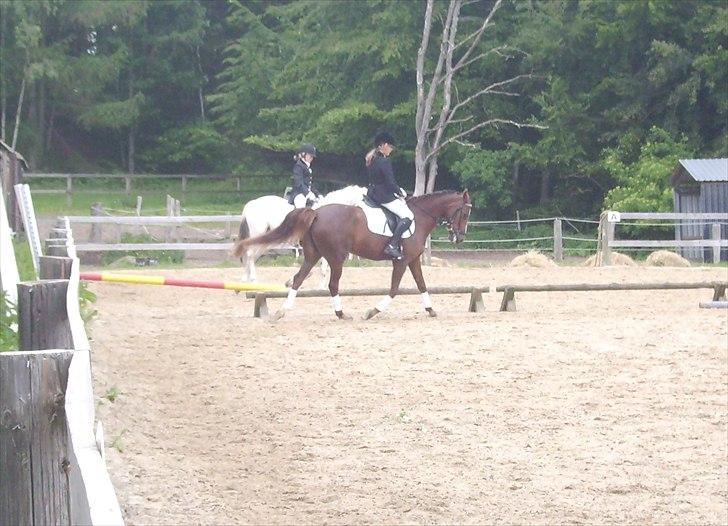 Stævne Ebeltoft Rideklub ;-) billede 205