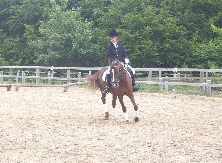 Stævne Ebeltoft Rideklub ;-) billede 206