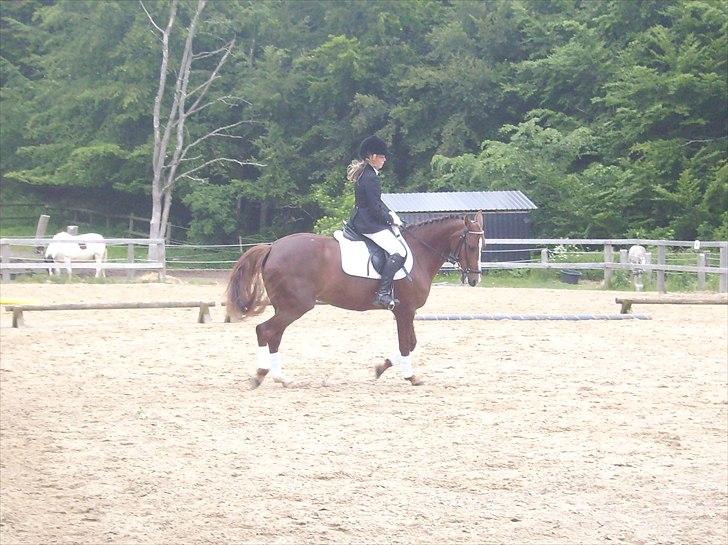 Stævne Ebeltoft Rideklub ;-) billede 207