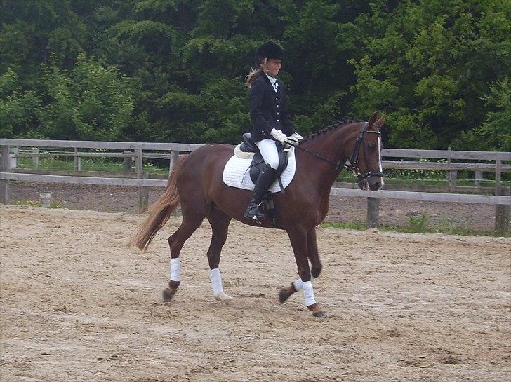 Stævne Ebeltoft Rideklub ;-) billede 208