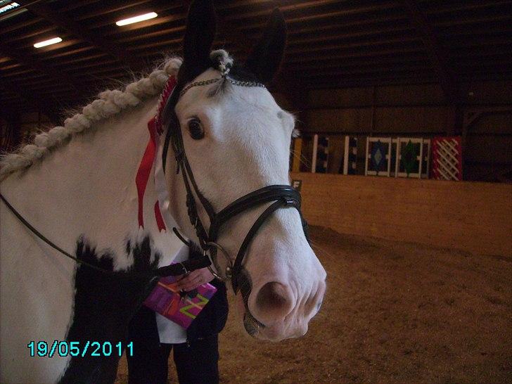 Stævne Ebeltoft Rideklub ;-) billede 209