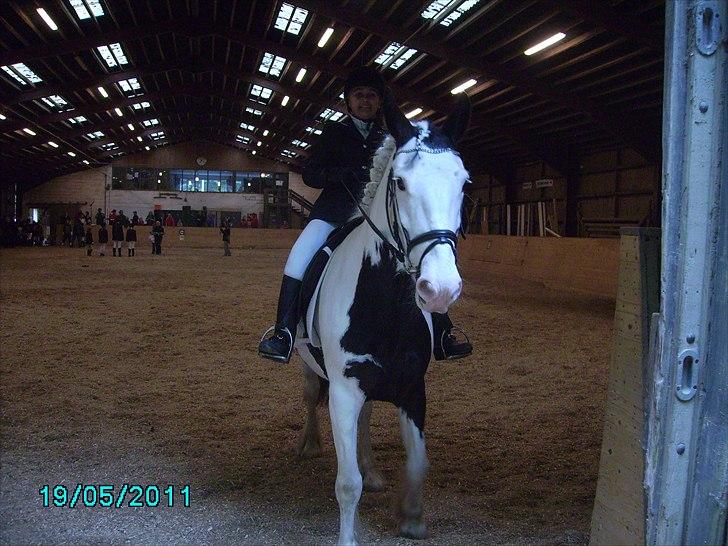 Stævne Ebeltoft Rideklub ;-) billede 212