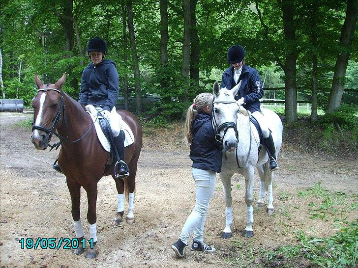 Stævne Ebeltoft Rideklub ;-) billede 214