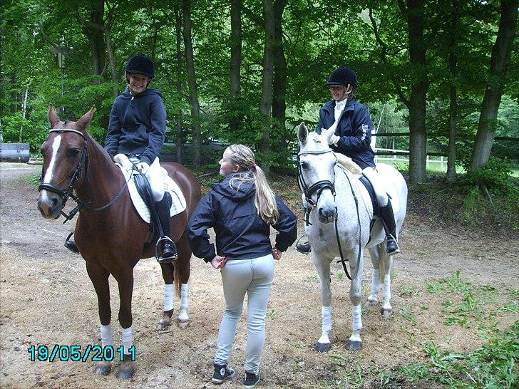 Stævne Ebeltoft Rideklub ;-) billede 215