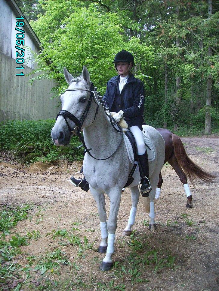 Stævne Ebeltoft Rideklub ;-) billede 216