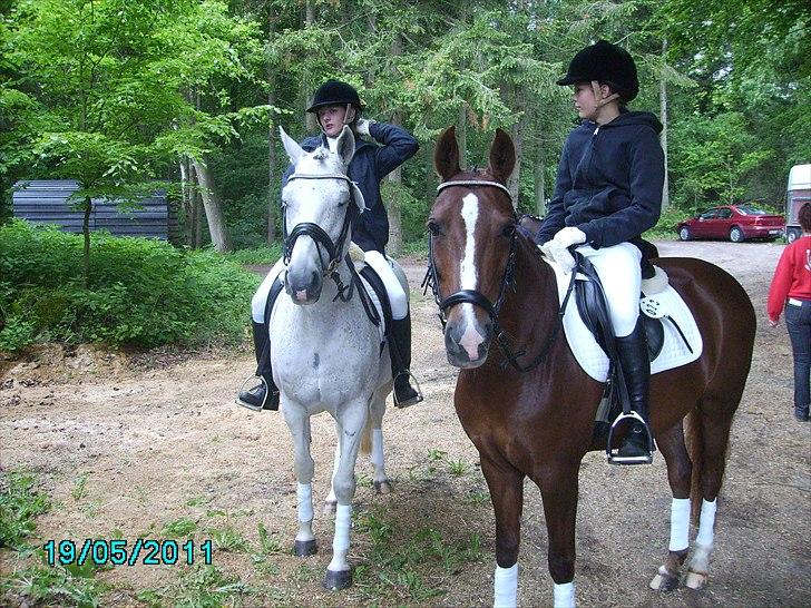 Stævne Ebeltoft Rideklub ;-) billede 217