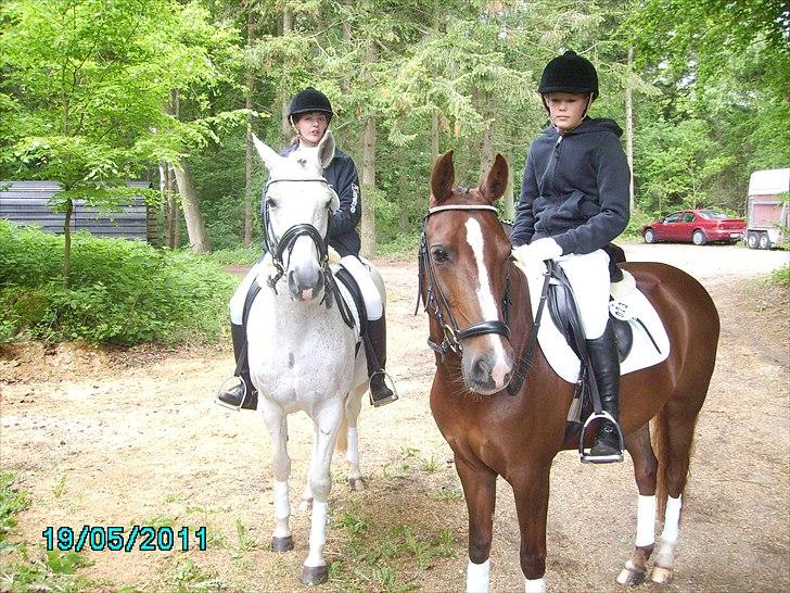 Stævne Ebeltoft Rideklub ;-) billede 218