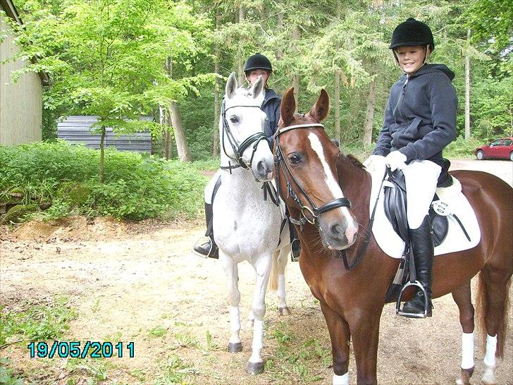 Stævne Ebeltoft Rideklub ;-) billede 219