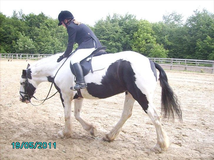 Stævne Ebeltoft Rideklub ;-) billede 220