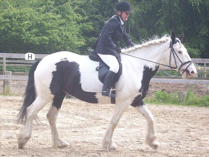 Stævne Ebeltoft Rideklub ;-) billede 221