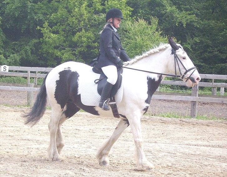 Stævne Ebeltoft Rideklub ;-) billede 222