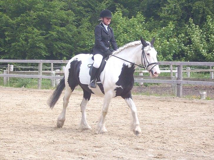 Stævne Ebeltoft Rideklub ;-) billede 223