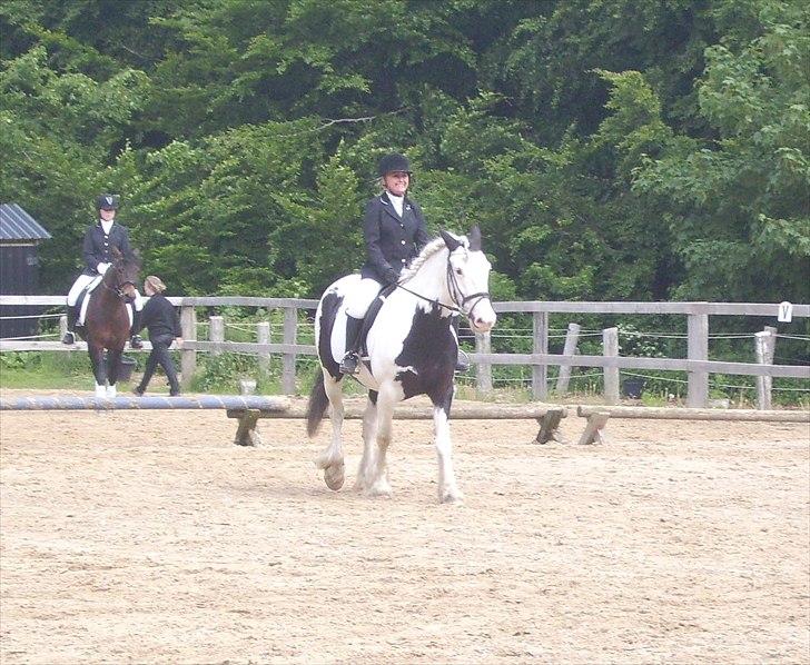Stævne Ebeltoft Rideklub ;-) billede 224