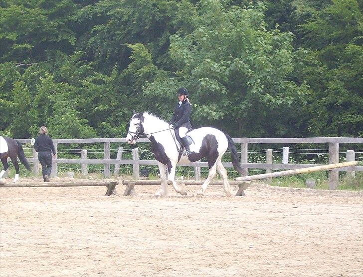 Stævne Ebeltoft Rideklub ;-) billede 225