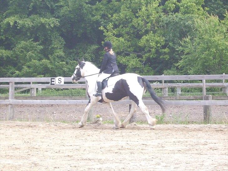 Stævne Ebeltoft Rideklub ;-) billede 226