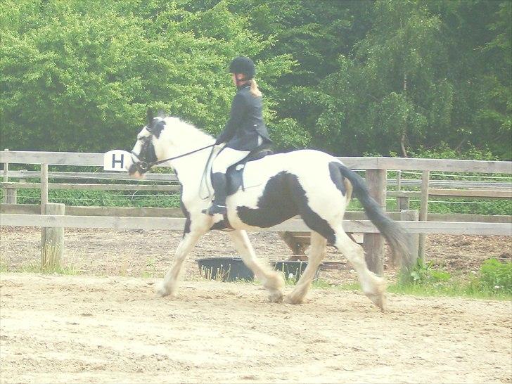 Stævne Ebeltoft Rideklub ;-) billede 227