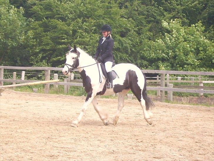 Stævne Ebeltoft Rideklub ;-) billede 229