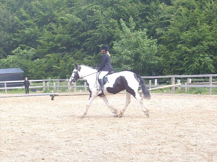 Stævne Ebeltoft Rideklub ;-) billede 230