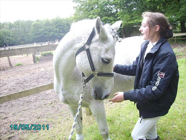 Stævne Ebeltoft Rideklub ;-) billede 235