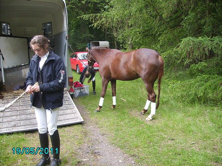 Stævne Ebeltoft Rideklub ;-) billede 236