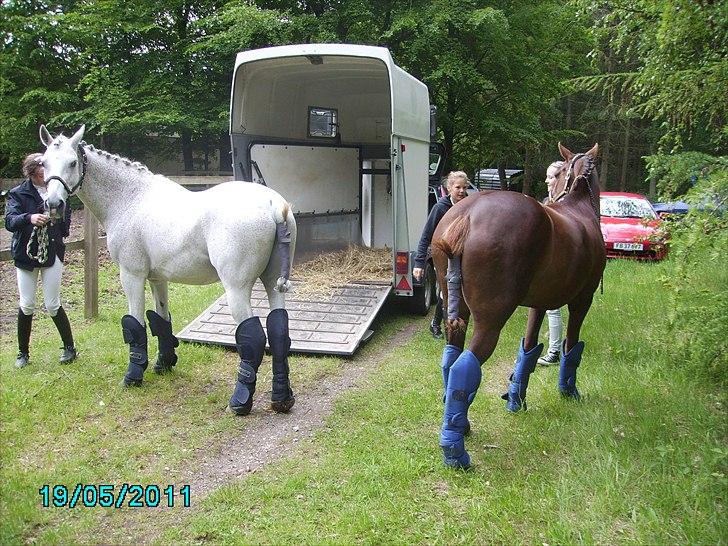Stævne Ebeltoft Rideklub ;-) billede 239