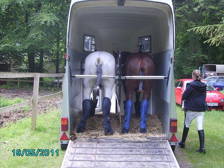 Stævne Ebeltoft Rideklub ;-) billede 241