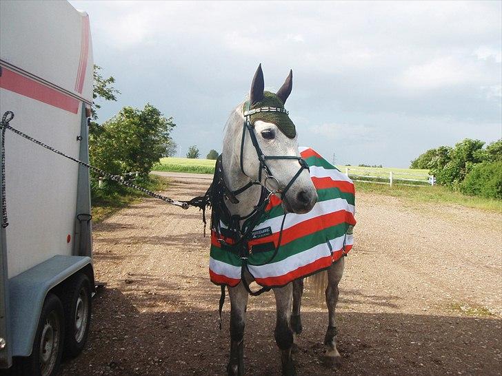 Spring træning på Junker da vi startede sammen billede 19