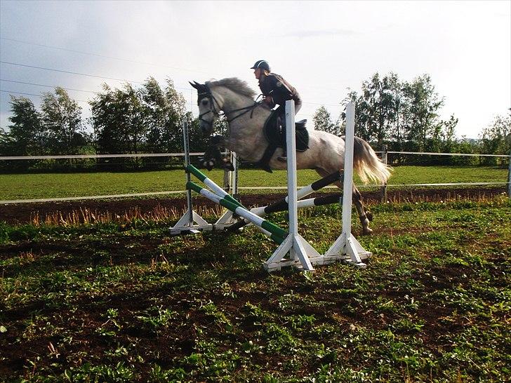 Spring træning på Junker da vi startede sammen - Stort kryds spring billede 15