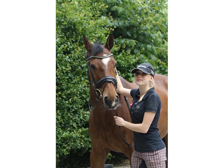 {{currentPhoto.altText}} billede {{currentPhoto.number}}