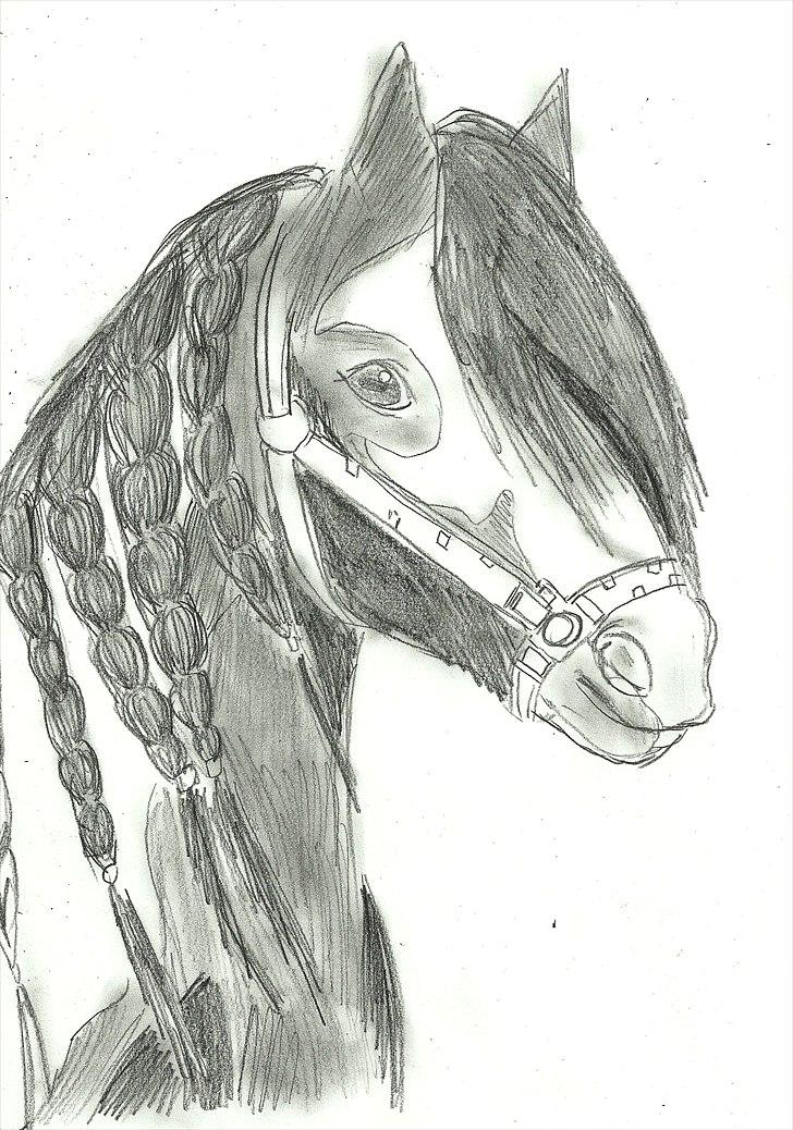 Tegninger :D   - Tegning til Sarah & Sacha V :)
Tegnet mandag d. 30. maj 2011 billede 355