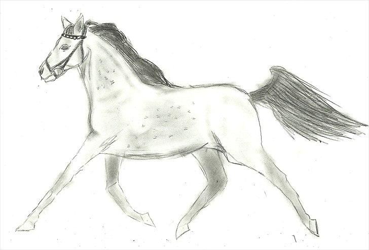 Tegninger :D   - Tegning til Sarah & Sacha V :)
Tegnet mandag d. 30. maj 2011 billede 353