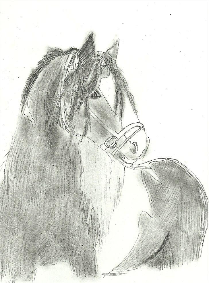 Tegninger :D   - Tegning til Sarah & Sacha V :)
Tegnet mandag d. 30. maj 2011 billede 351