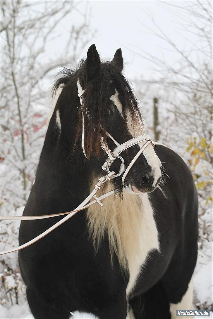 Tegninger :D   - Original billede - Tullamore Dew billede 352