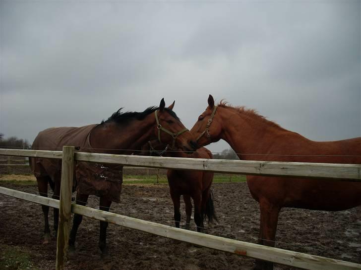  Min tid med Bansam <3 billede 58