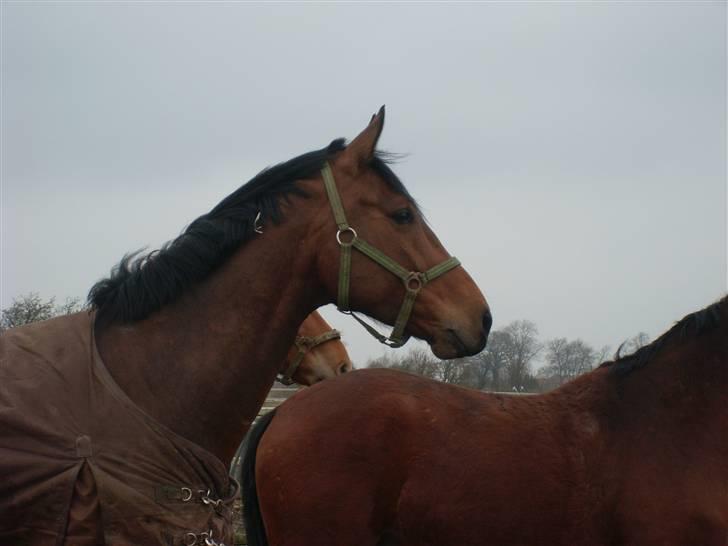  Min tid med Bansam <3 - De fik lige øje på noget billede 59