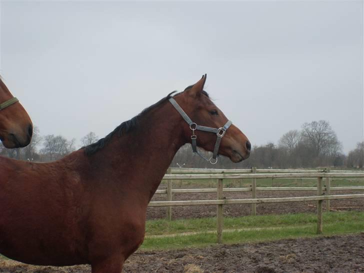  Min tid med Bansam <3 - De fik øje på nogle mennesker uhhh farligt billede 60