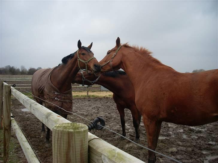  Min tid med Bansam <3 billede 62