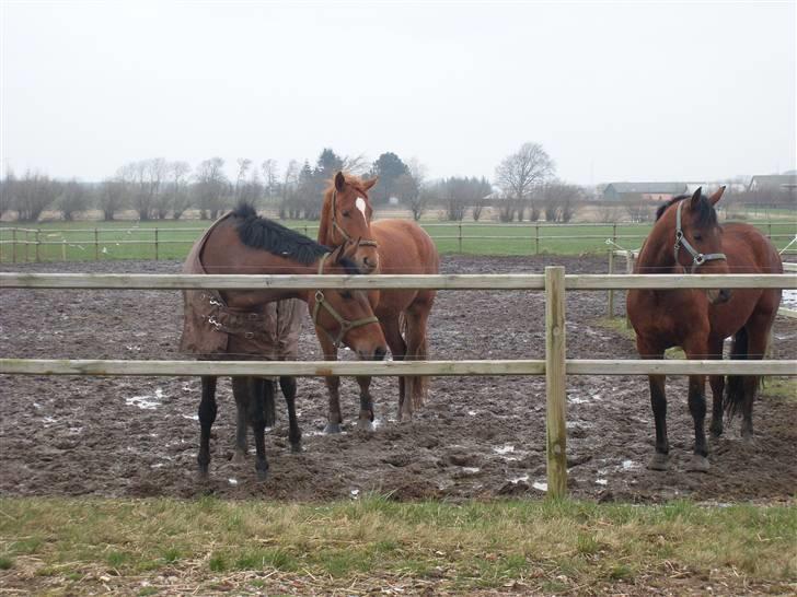  Min tid med Bansam <3 billede 64