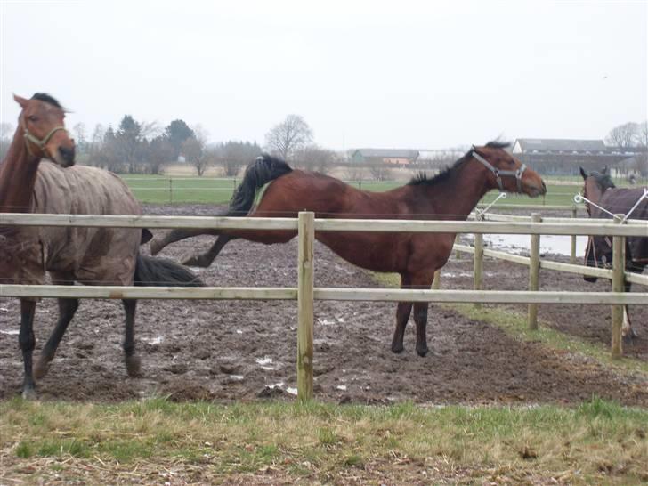  Min tid med Bansam <3 - Jeg spiser lige gå så billede 65