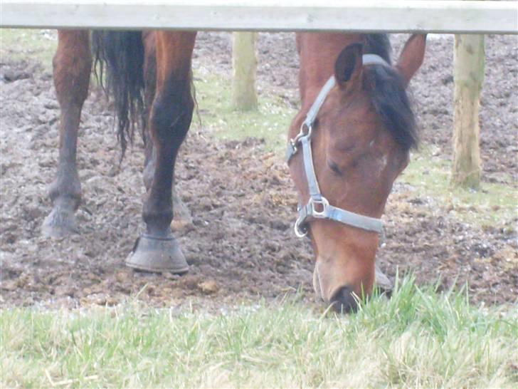  Min tid med Bansam <3 - Mmmm mad billede 66