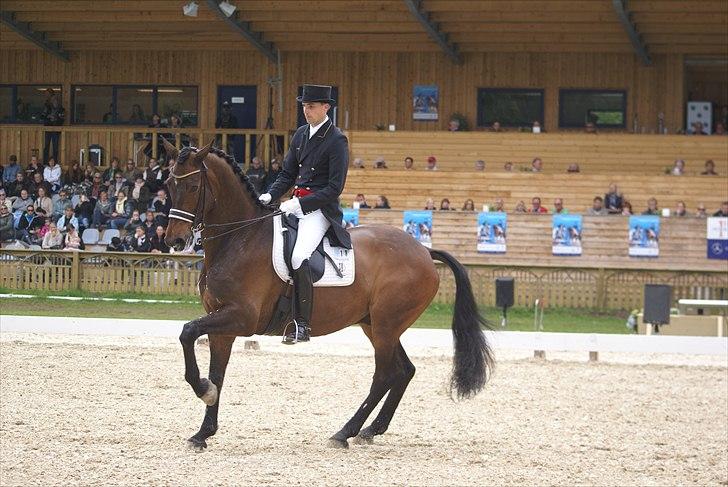 First Horse Grand Prix - 29 maj 2011 billede 4