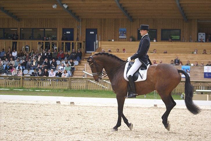 First Horse Grand Prix - 29 maj 2011 billede 5