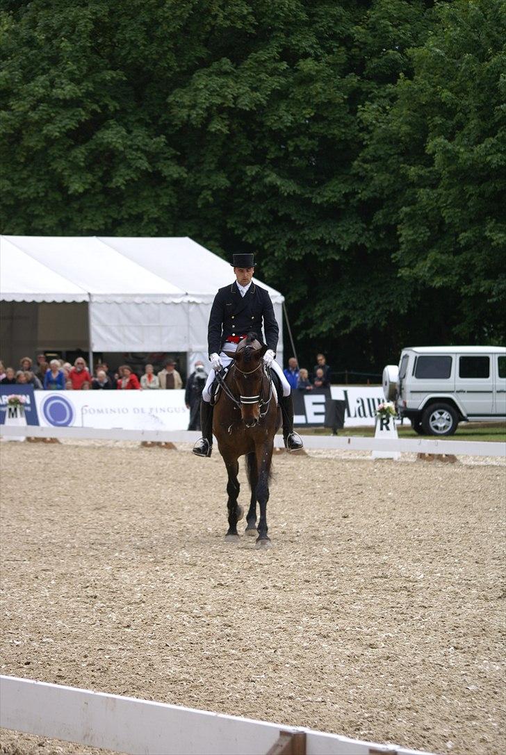 First Horse Grand Prix - 29 maj 2011 billede 7