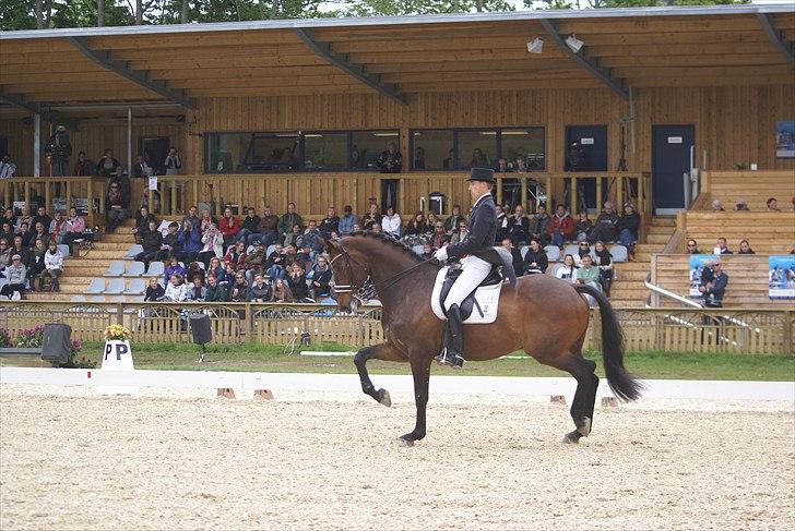 First Horse Grand Prix - 29 maj 2011 billede 12